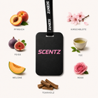Montparnasse Air freshener