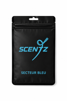 Secteur Bleu Air freshener