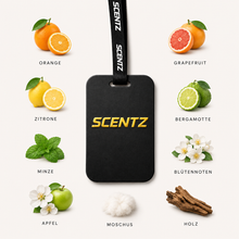 Auriol Air freshener